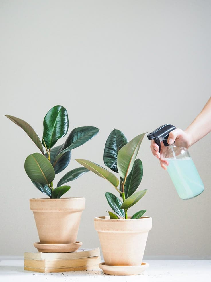 POR NIVEL DE CUIDADO